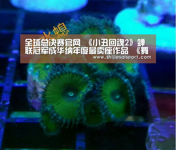 世界赛官网