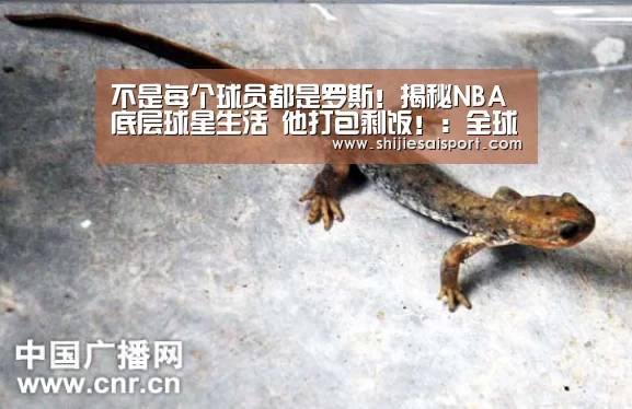 不是每个球员都是罗斯!揭秘NBA底层球星生活 他打包剩饭!:全球总决赛官网(图3) 全球总决赛官网
