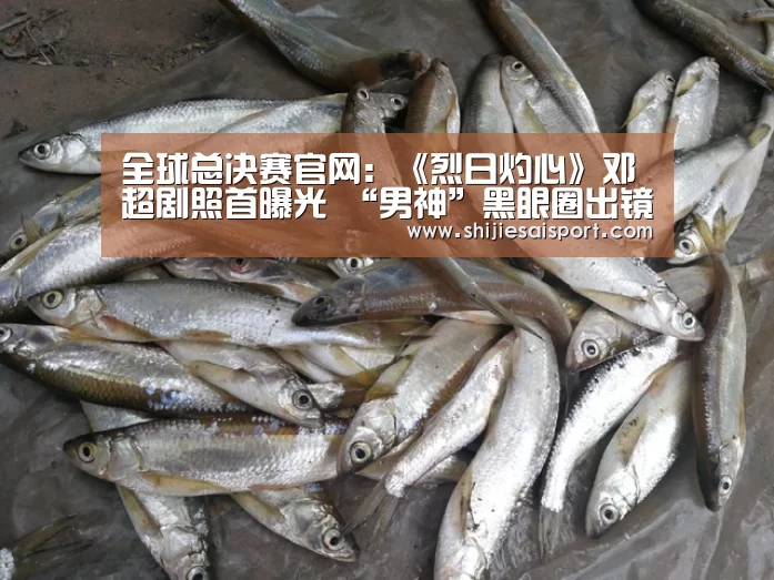 全球总决赛官网:《烈日灼心》邓超剧照首曝光 “男神”黑眼圈出镜变路人(图1) 世界赛官网