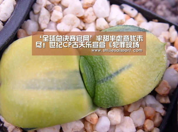 ‘全球总决赛官网’半甜半虐意犹未尽!世纪CP古天乐宣萱《犯罪现场》再度发糖(图4) 世界赛官网