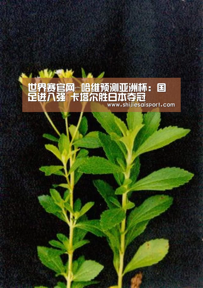 全球总决赛官网